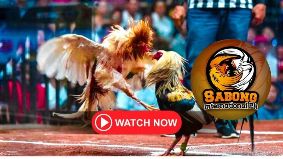 what happens if you bet moneyline and it’s a tie